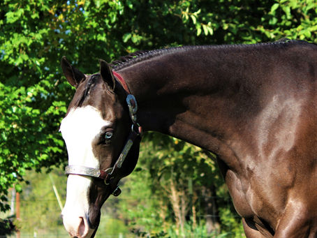 IM FANCY IN MY JEANS ~ SOLD