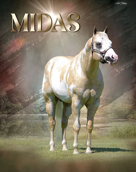 Midas 2024.jpg