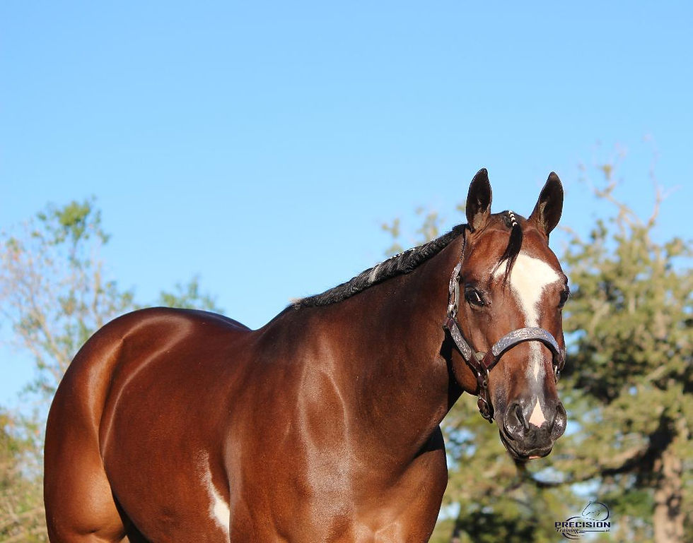 CALL ME BY YOUR NAME ~ SOLD