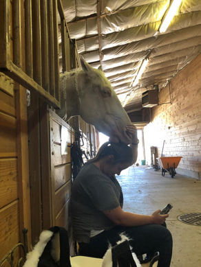 Reluctant to buy online