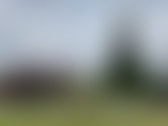 写真はこちらで