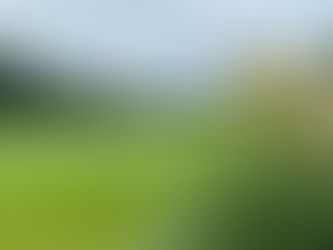 コースレポート　23/9月