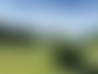 コースに生えているアレ、知ってます？