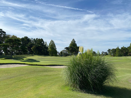 コースに生えているアレ、知ってます?