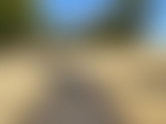 毎年コツコツ進めています