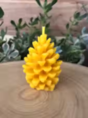 Pine Cone #109