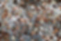 coins-2125366_960_720 free.jpg