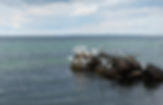 CCTV on Rocks