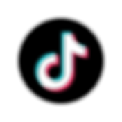 tiktok-logo-on-transparent-background-free-vector-removebg-preview.png
