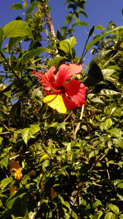 IMG_20190526_201726_283