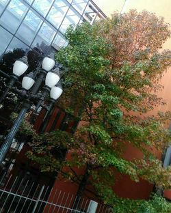 IMG_20190527_190153_012