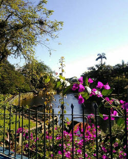 IMG_20190526_114637_789