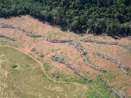 Novas Regras do Crédito Rural Transformam Bancos em "Fiscais": o que muda para o Produtor?