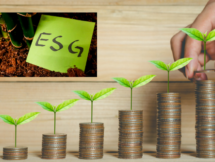 ESG, COMPETITIVIDADE E RECONHECIMENTO.