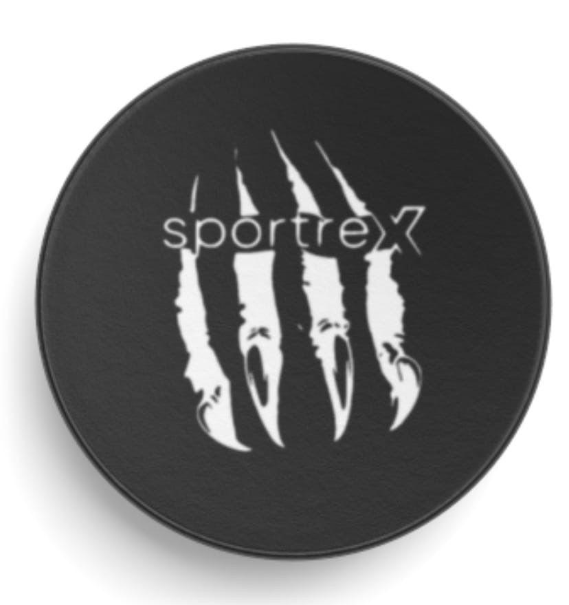 Thumbnail: Sportrex Hockey Puck