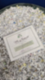 PXL_20260206_164903253