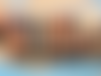 Who We Are. Why We Serve. Whats next?