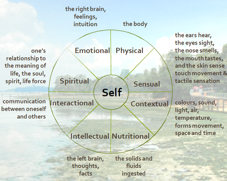 HOA: The Community-Based Intervention Programme