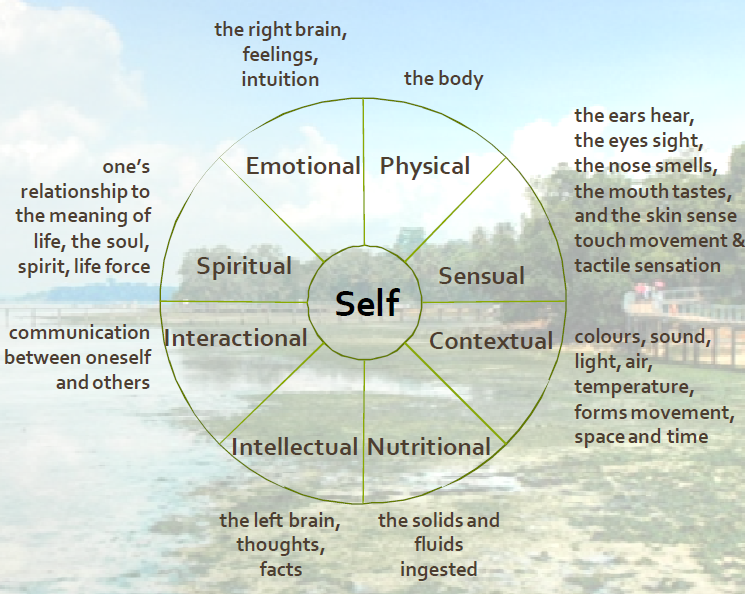 The Self Mandala Framework