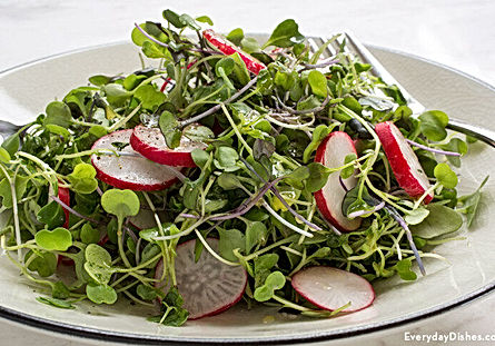 Microgreens Salad with Lime Vinaigrette