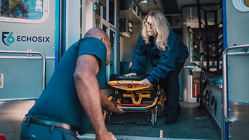 Echosix site image 2.png