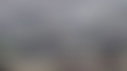 Ermənilərin yalanlarını sübut edən daha bir - SƏNƏD üzə çıxdı