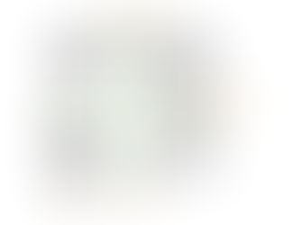 Radical Candor in Performance Conversations