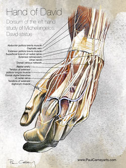 Hand of David