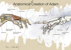 Creation of Adam
