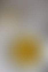 Risotto Alla Milanese