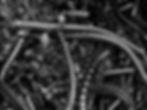 fullsizeoutput_2e66_edited_edited_edited.jpg