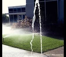 Douglas Landscapes and Irrigation, Texas