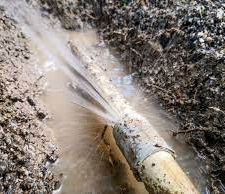 Douglas Landscapes and Irrigation, Texas