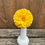 Thumbnail: Clearview Butterscotch