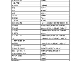 保険外負担金一覧