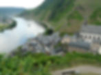 Zell