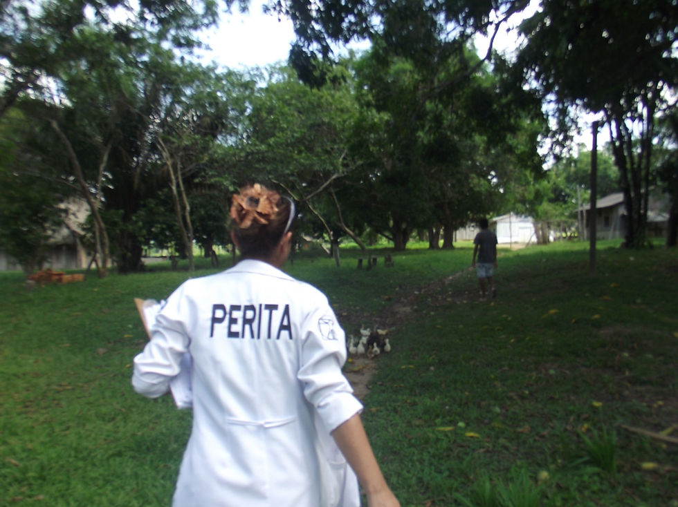 Fotos de Trabalho em campo 06