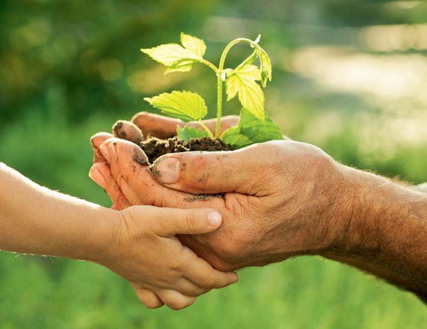 sustentabilidade-novas-atitudes