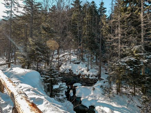 Zakopane 🇵🇱❄️