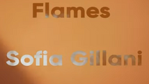 Flames Music Video