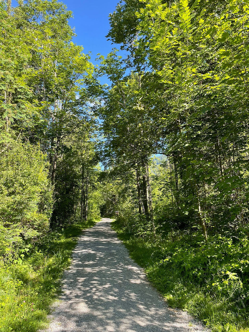 Foresttherapy