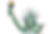  chapellroan.png