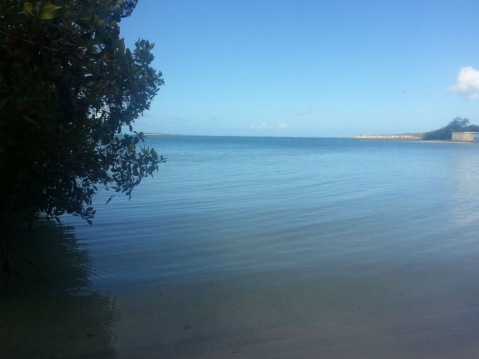 PLAYA PITAHAYA