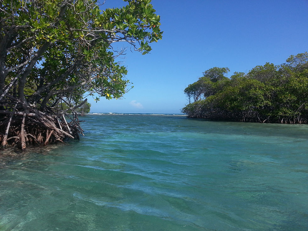 CAYO CARACOLES