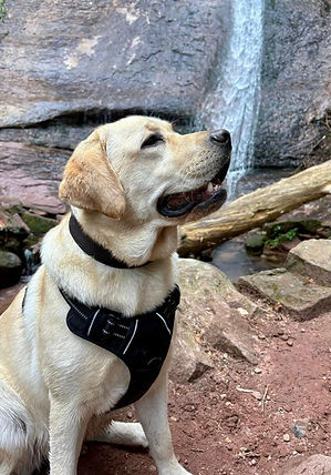 0b7aa9f4-1777-4c73-a4ad-43c4067addc3 (1).JPG