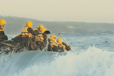 gif entrenamiento militar 2 LIVIANO.gif