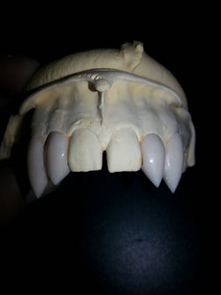 20151025_131438 (4).jpg