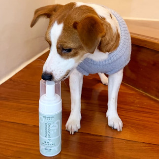 寵物乾洗慕斯推薦, 汪咪博士評價, 汪咪博士dcard ptt, 寵物乾洗澡推薦, 寵物乾洗澡dcard ptt, 寵物乾洗dcard, 寵物乾洗推薦, 貓咪乾洗澡dcard, hopet 乾洗 慕 斯, 貓咪乾洗慕斯, 狗狗乾洗澡推薦