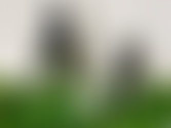 女生防掉髮洗髮精推薦—EDNA評價:蘊 活化滋養毛髮組