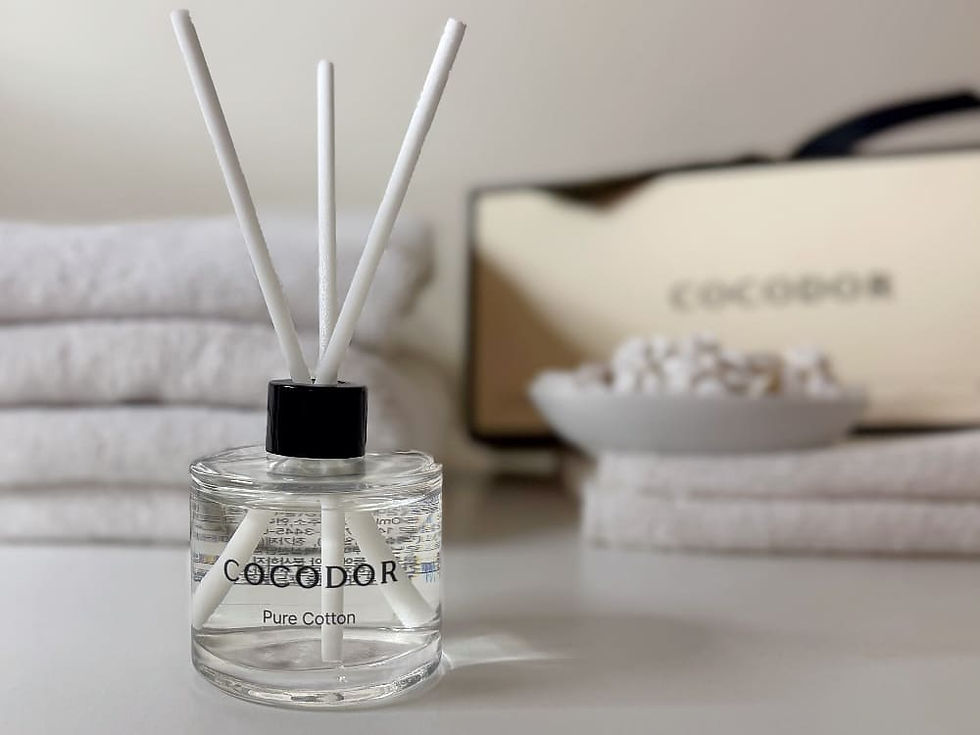 cocodor 擴香瓶推薦ptt dcard, 平價擴香推薦dcard ptt, 天然擴香瓶推薦, 木質調擴香推薦, 房間擴香推薦dcard, 擴香瓶哪裡買